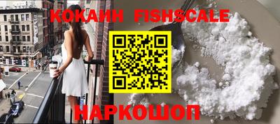 крисы Кулебаки