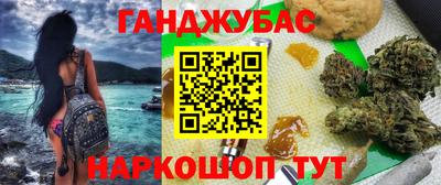 крисы Кулебаки
