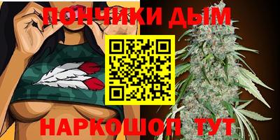 крисы Кулебаки