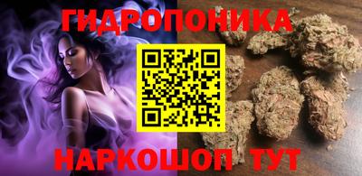 крисы Кулебаки