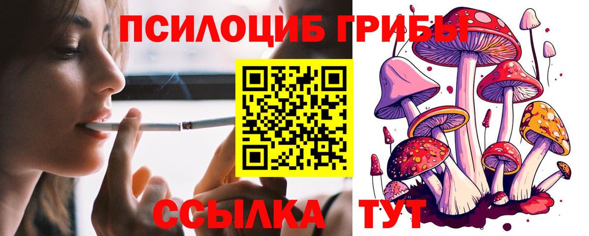 Галлюциногенные грибы GOLDEN TEACHER  Вход с VPN  Южно-Сахалинск 